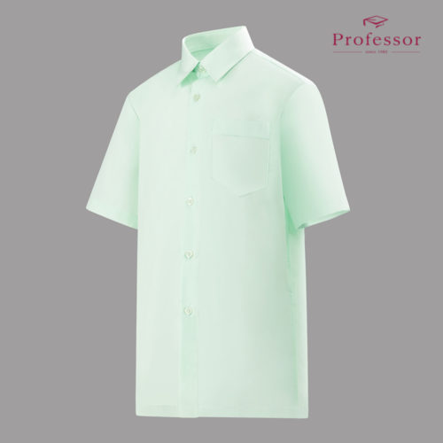 Signature Cotton Rich Short Sleeve Shirt (Hard Collar) – Light Green Side