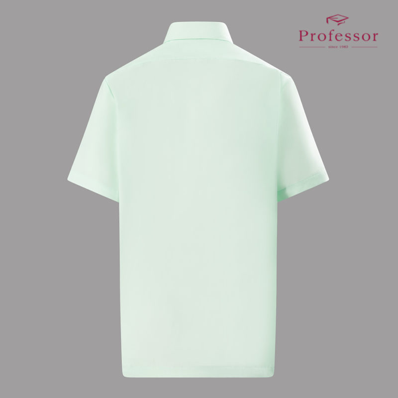 Signature Cotton Rich Short Sleeve Shirt (Hard Collar) – Light Green Back